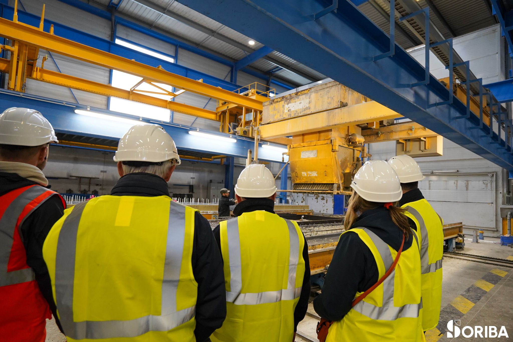 Visitez nos entreprises 6